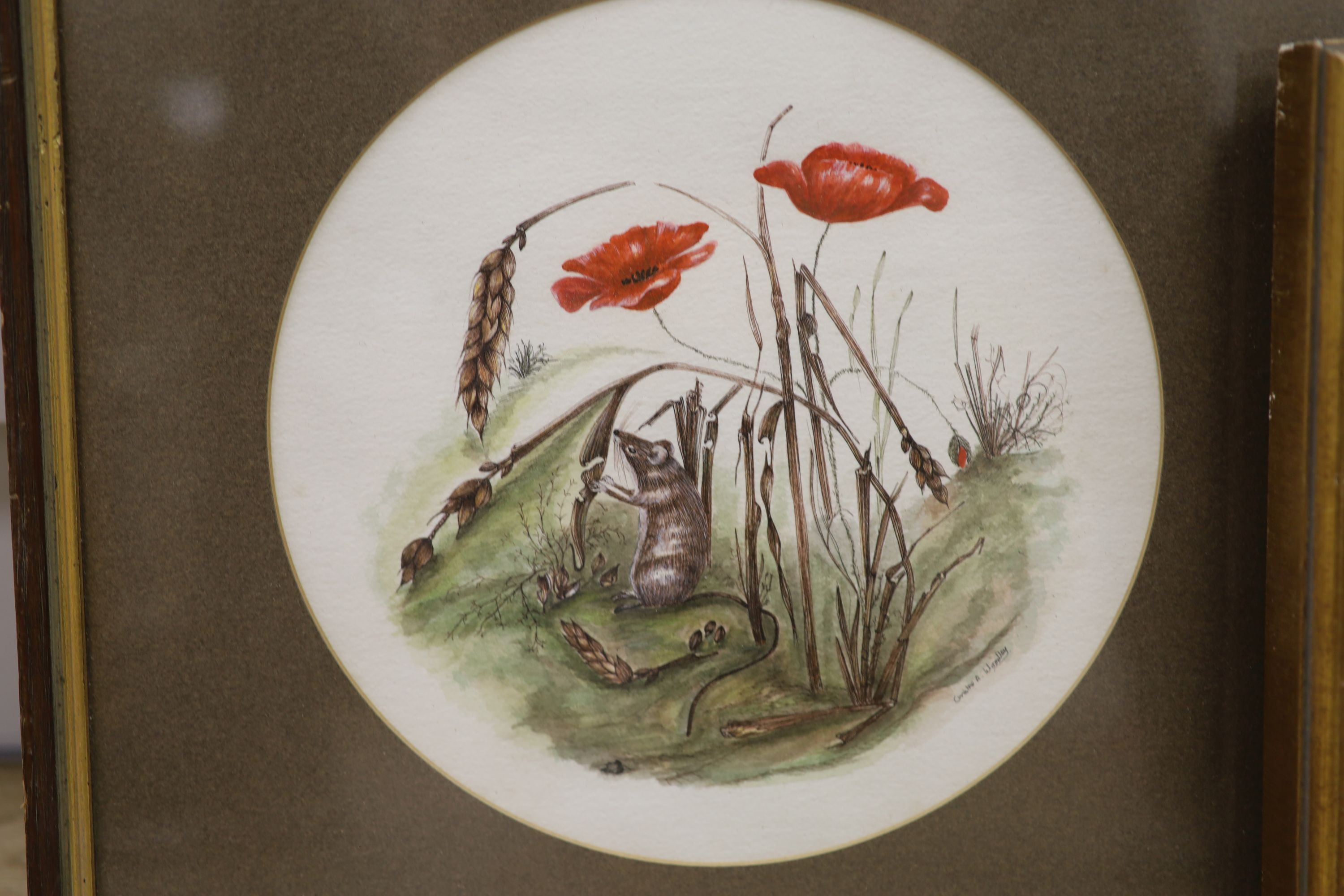 Edward Stamp (1939-), watercolour, Cottages at Hoggeston, Buckinghamshire, signed and dated 1978, 11 x 16cm and a watercolour of poppies and mice by Christine Woodley, 23cm